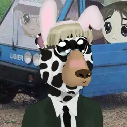 255