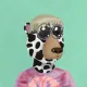 164