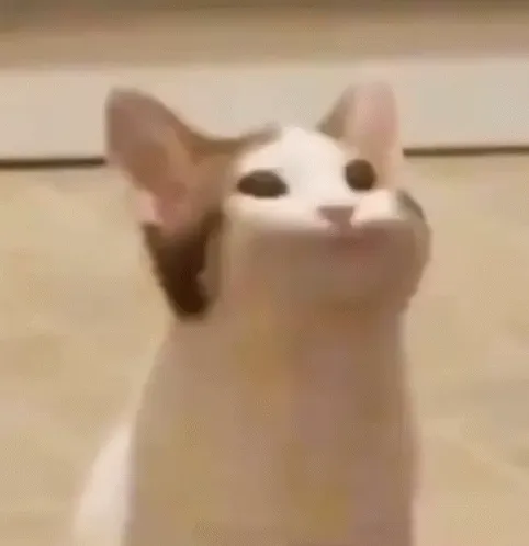 Pop
