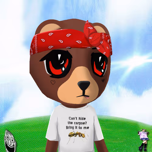 Steady Teddys Eth