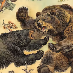 Bearish Bears