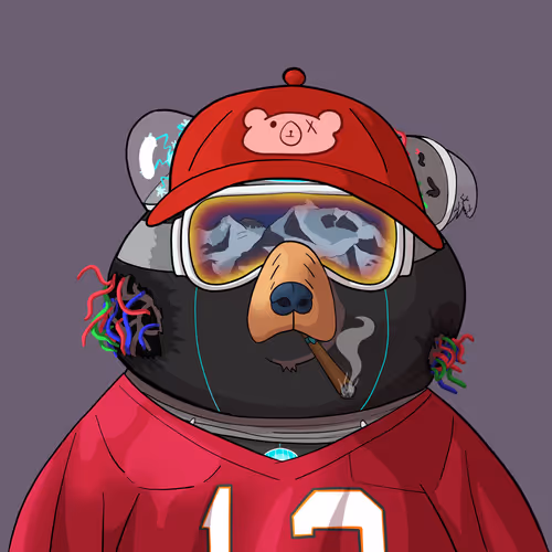 #870 • Buxom Velvety Droid Bear