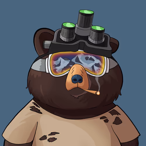 #2233 • Fuzzy Bushy Shadow Bear