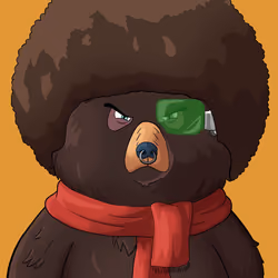 #3507 • Warm Wooly Shady Bear