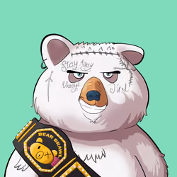 #2898 • Soapy Raggy White Bear