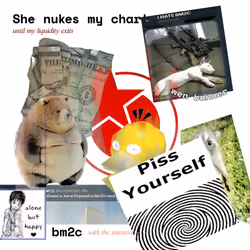 291