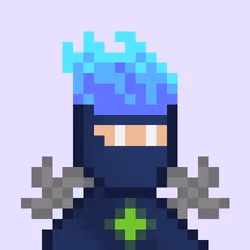 Ninja #46