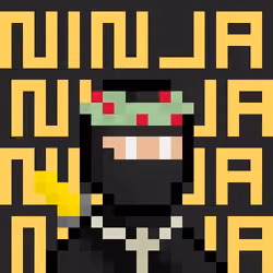 Ninja #97