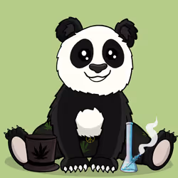 Baby Bear #467
