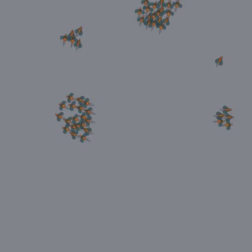 Murmuration #51