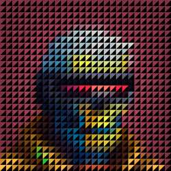 81