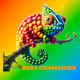candy chameleon BERA