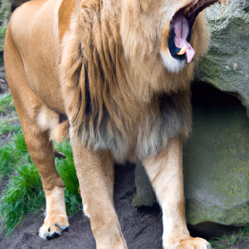 Monstrous roar