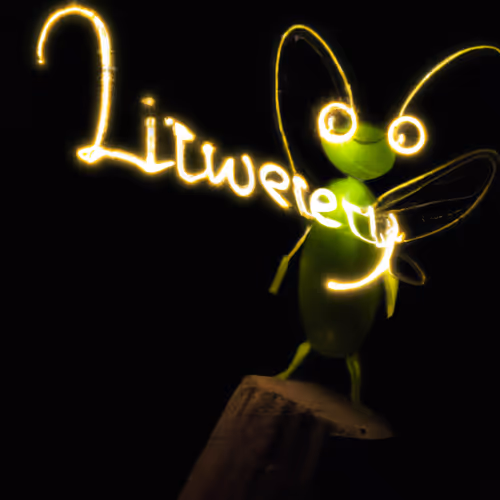 Firefly Fun