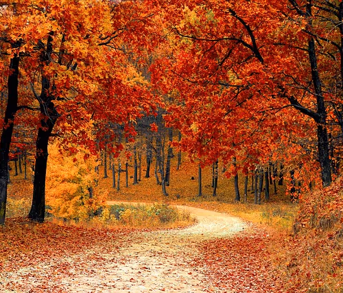 Color Explosion