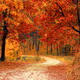 Color Explosion
