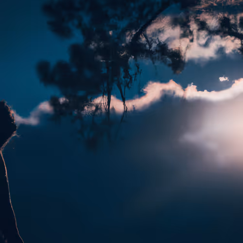 moonbeams