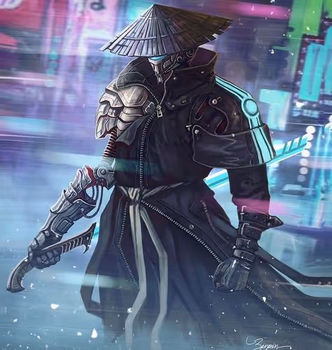 Cyber Ronin