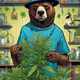 Rokibear
