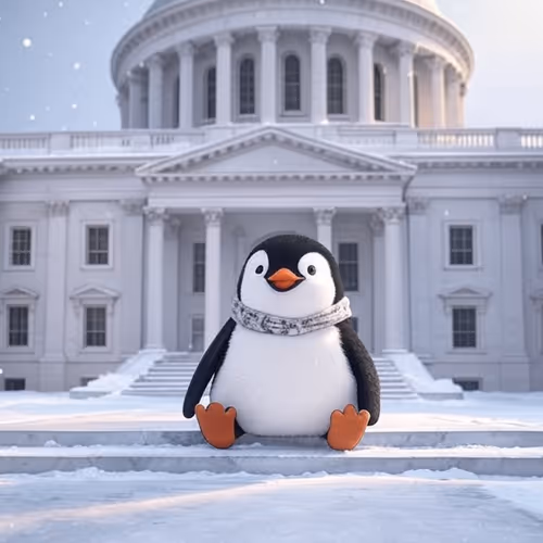 Capitol Visitor
