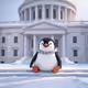 Capitol Visitor