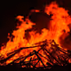 scorch
