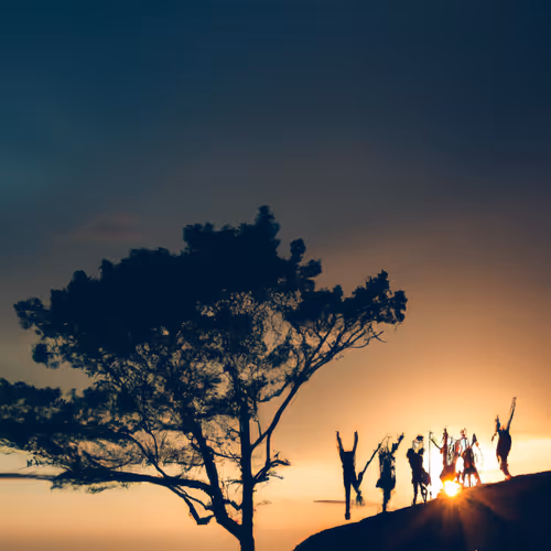Sunshine Adventure