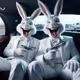 Bera.Bunny