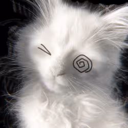 항목 미디어 플레이스홀더