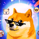 rare doge