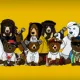 Band Bears