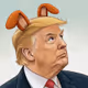 Brump