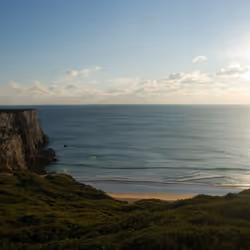 항목 미디어 플레이스홀더