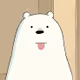 Bear Funs