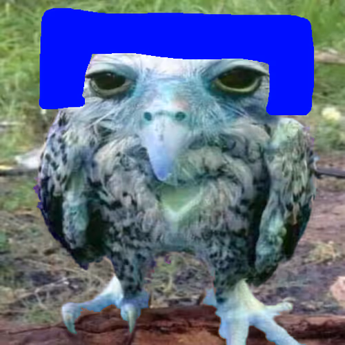 Steven the Owl