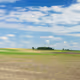 Summer day