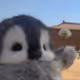Penguin and dandelion