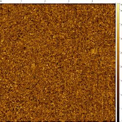 Item Media Placeholder