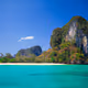 Dalmatian