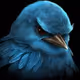 PigeOnBera
