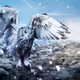 Frost Echo