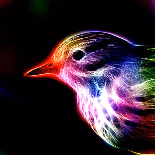bird