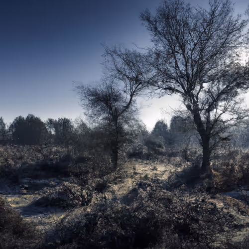 mYsTiCal