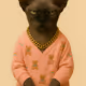 CatBerraPes