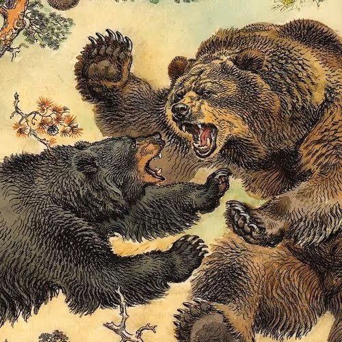 Bearish Bears