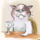 bera-cat