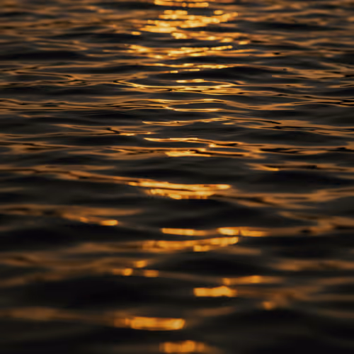 sea