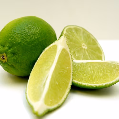 patrol