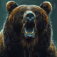 Bera Bear