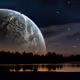 wonder